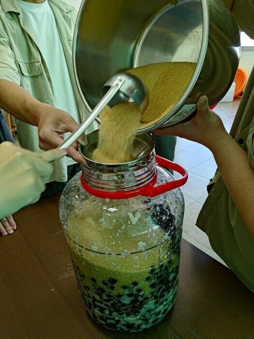 食農教育-葡萄酒釀造體驗-樹葡萄圖片